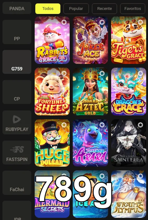 Usuário acessando serviços VIP da 789g